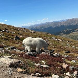 Meet your Posher, Ruth